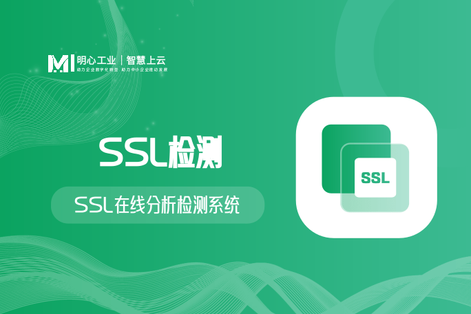 专业SSL证书检测分析系统